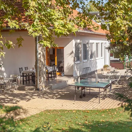 Platan Garden & - Volt Platan