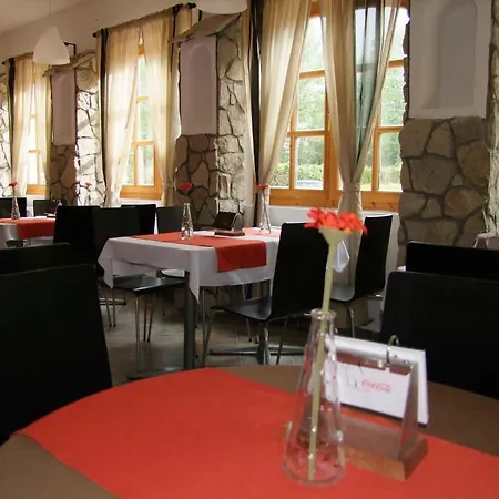 Platan Garden & - Volt Platan 2* Zamárdi
