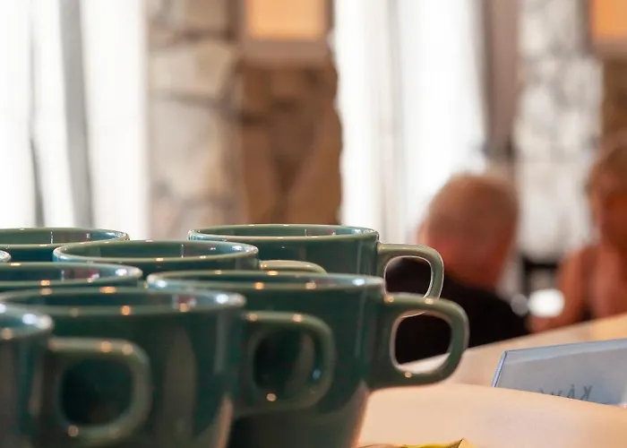 Platan Garden & - Volt Platan