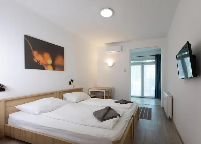 Platan Garden & - Volt Platan