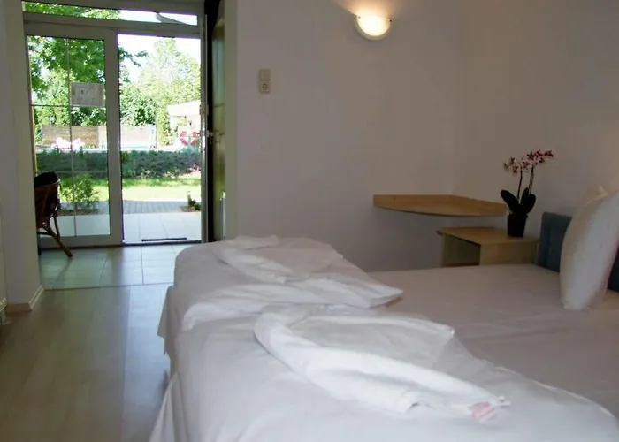 Platan Garden & - Volt Platan