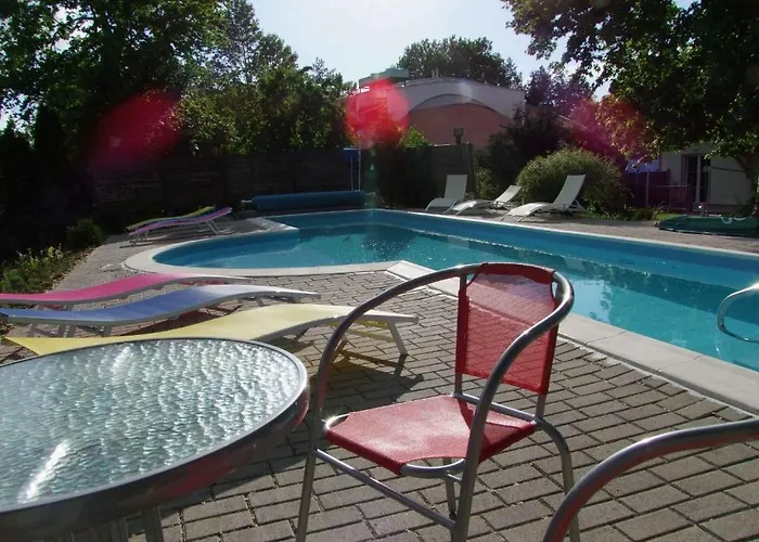 Platan Garden & - Volt Platan Zamárdi