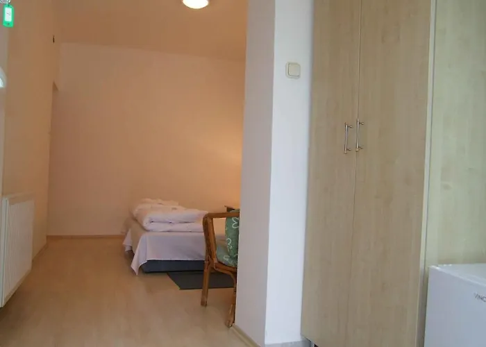 Platan Garden & - Volt Platan