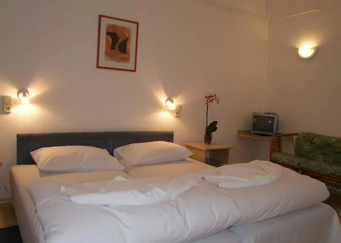 Platan Garden & - Volt Platan Aparthotel 2*