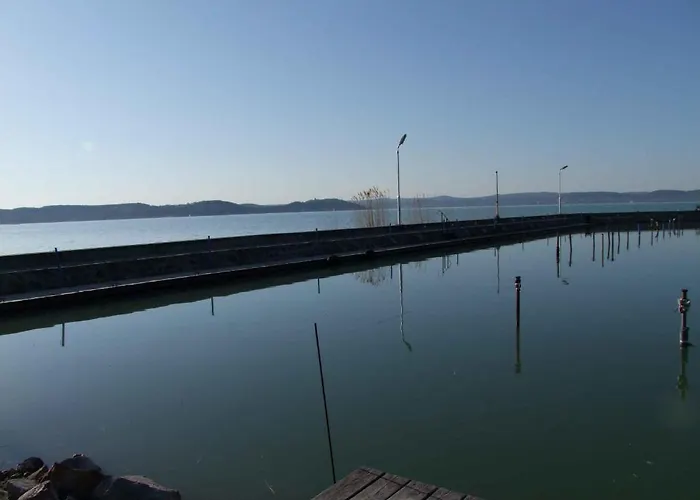 Platan Garden & - Volt Platan Zamárdi